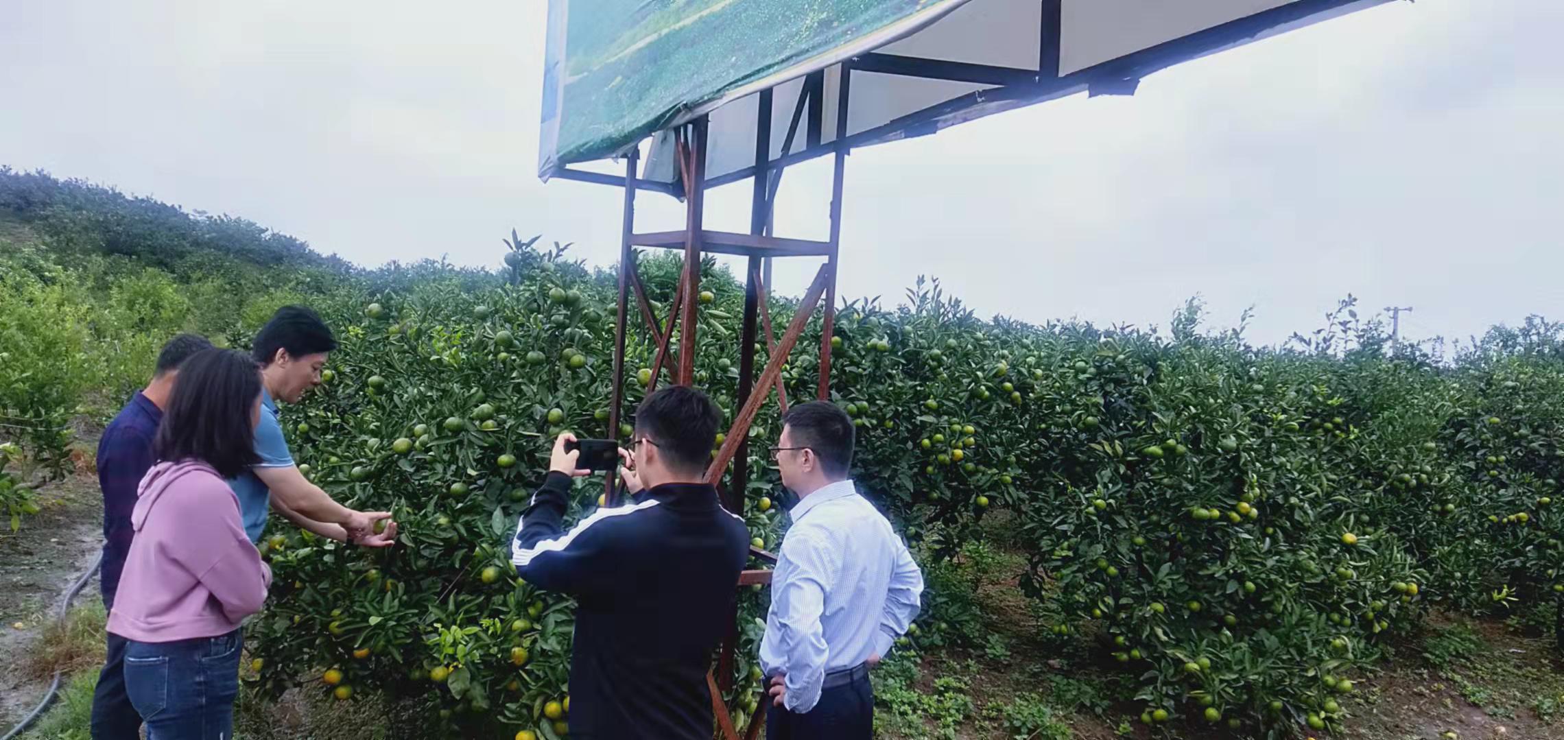 微信圖片_20210916134849.jpg 微信圖片_20210916134849.jpg